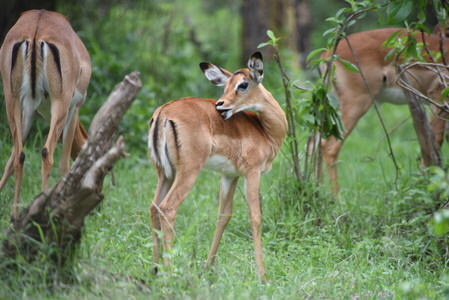 Mt. Longonot Hiking Tour