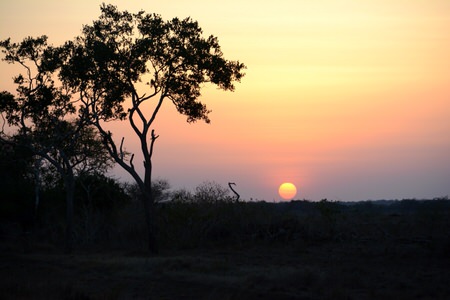 Kenya Women Birders