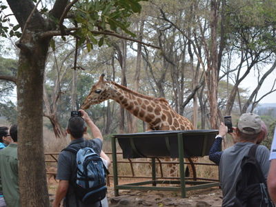 Nairobi City Ultimate Day Tour