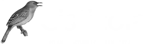 Cisticola Tours LTD