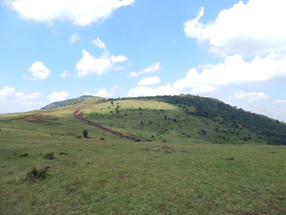 Olorgesailie Pre-Historic Site and Lake Magadi Tour