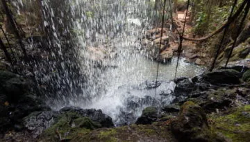 DSCN0535