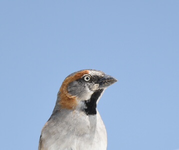 DSC_1675 DSC_1675
