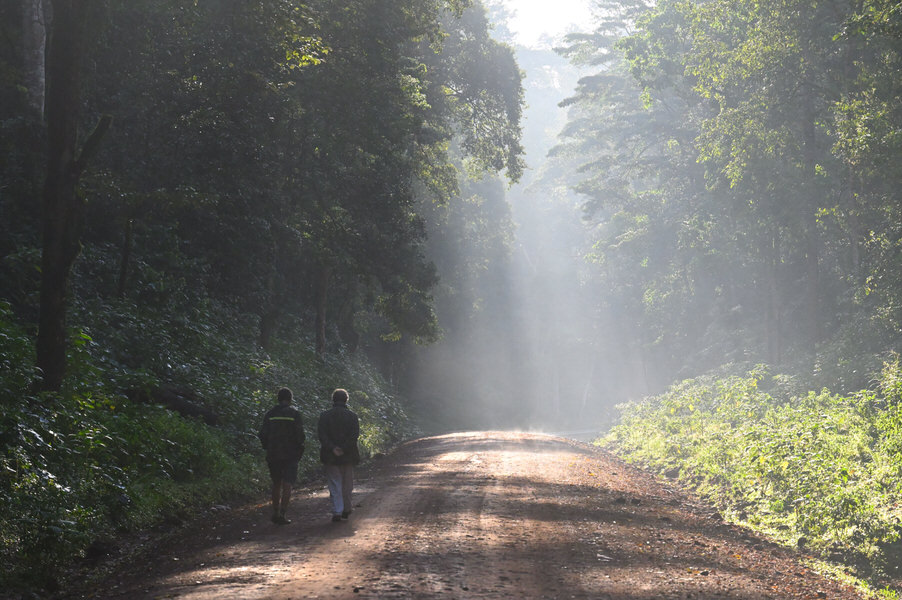 Western Kenya Custom Birding Tour