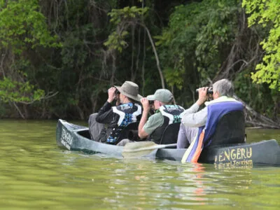 Lake Duluti Half Day Birding Tour 