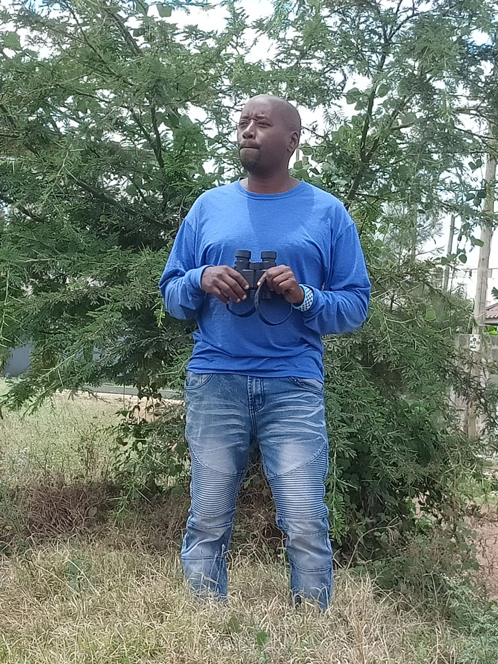 Birding Tours in Kenya
